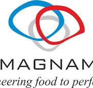 Magnam logo